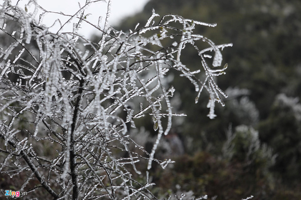 Cận cảnh băng giá kỳ thú ở Sa Pa